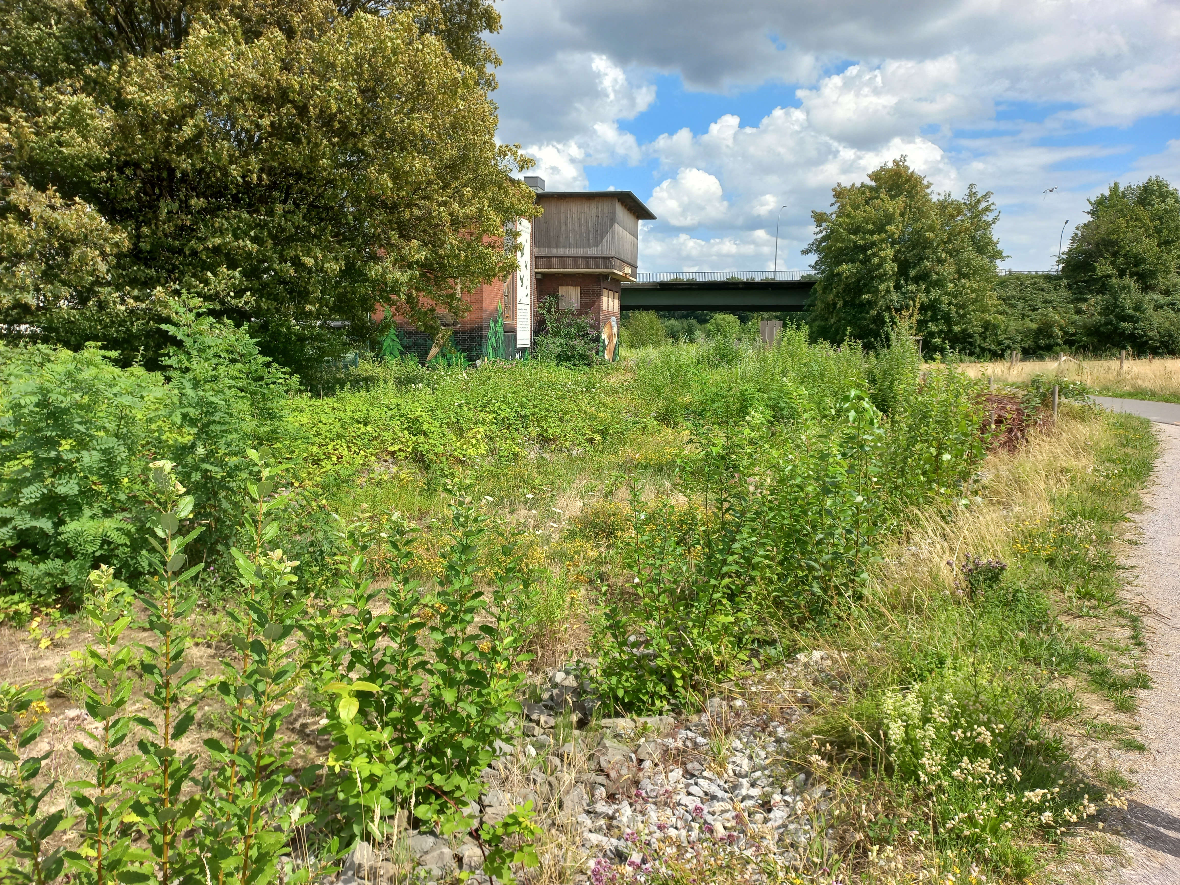 Blick auf das Artenschutzhaus Blick auf das Artenschutzhaus